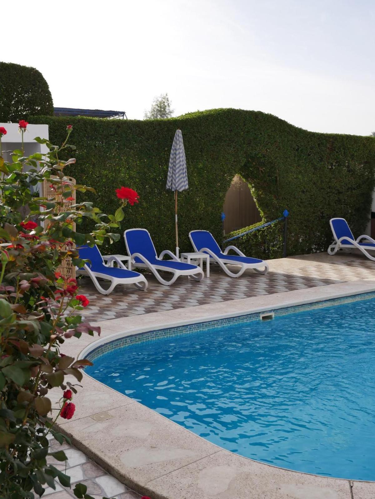 Quiet Place Apartament *